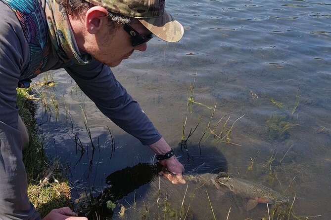 Fly Fishing Experience Near Mexico City - Sport fishing rules: trout returned to the water