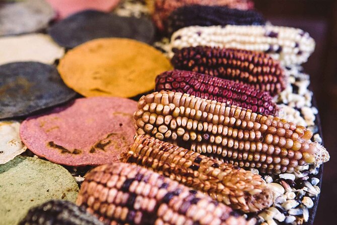 Foodie Tour in Polanco: Mexico Culinary roots! - Optional start: Museo Nacional de Antropologia and the roots behind the food