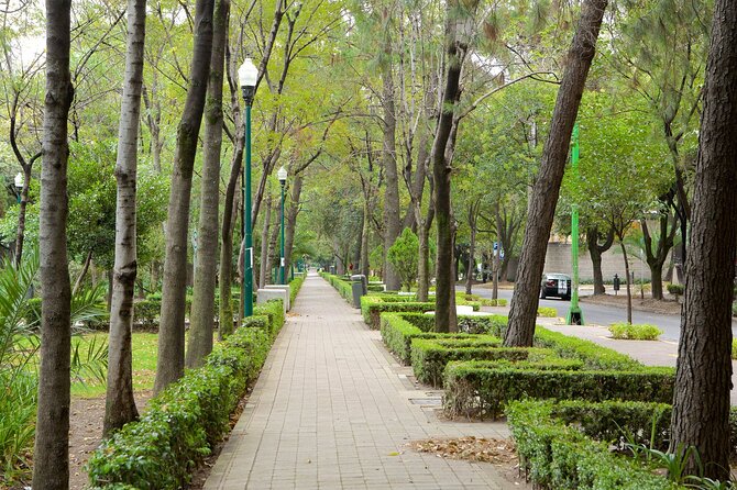 Foodie Tour in Polanco: Mexico Culinary roots! - Stop 1: Pastor tacos, plus a chance to build your own