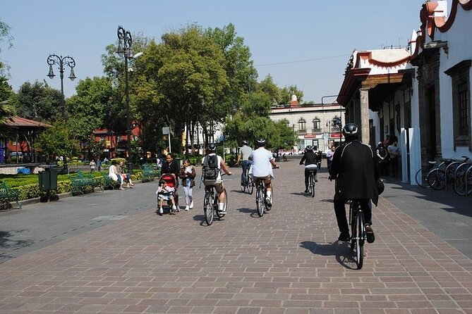 Frida Kahlo VIP - Bike & Churros [Museum Tickets Included] - The Blue House, Frida Kahlo Museum: tickets plus your own pace