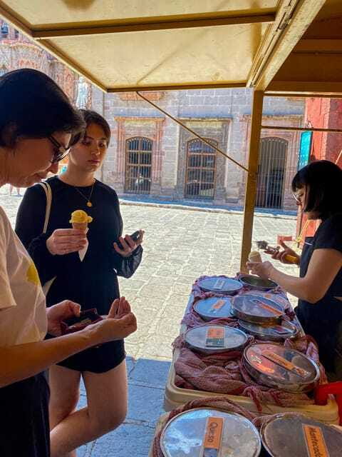 From CDMX: One day tour of colonial San Miguel de Allende - Price and value at about $124 per person