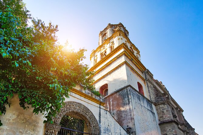 From cdmx: Tour in Coyoacan and Xochimilco all inclusive - Price and Value: What $59.11 Buys You