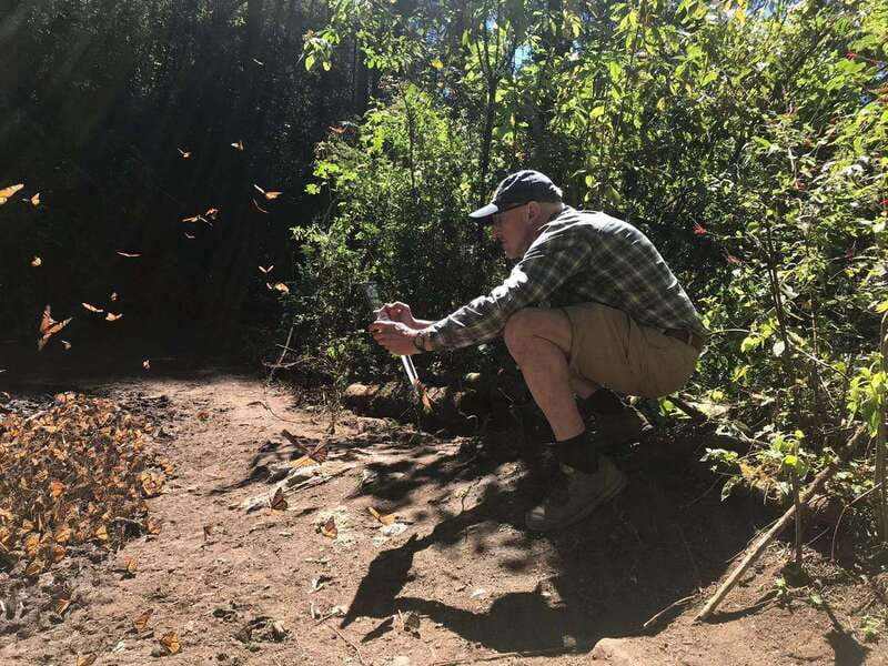 From Mexico City: 7-Day Monarch Butterfly Tour - Monarch Butterflies, Museum Time, and a Lake Town, All in One Week