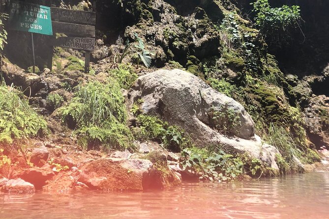 Full-Day Tour to Tolantongo Hot Springs from Ciudad de Mexico - Transfers and logistics: what’s handled for you