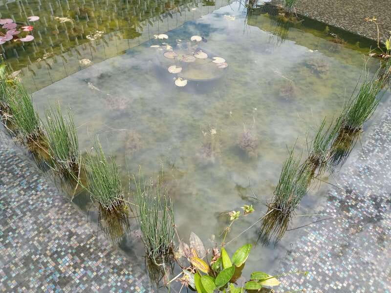Guided Tour of the Museum of Anthropology - Gardens around the museum, a breath between galleries