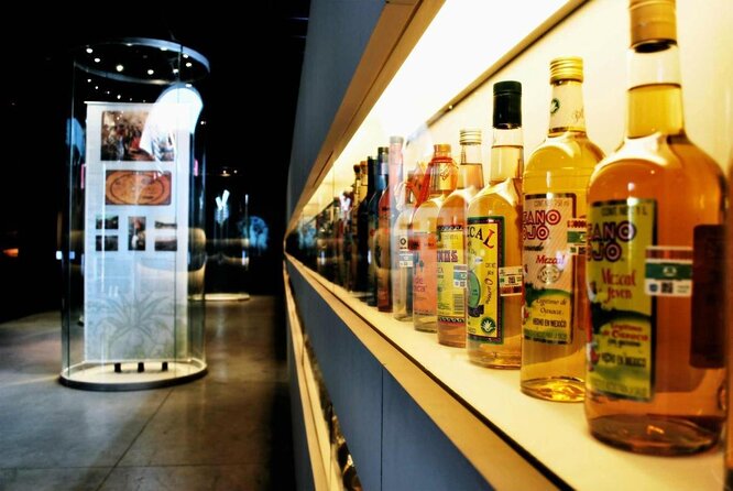 Guided Tour to the Tequila and Mezcal Museum - Key Highlights You’ll Care About