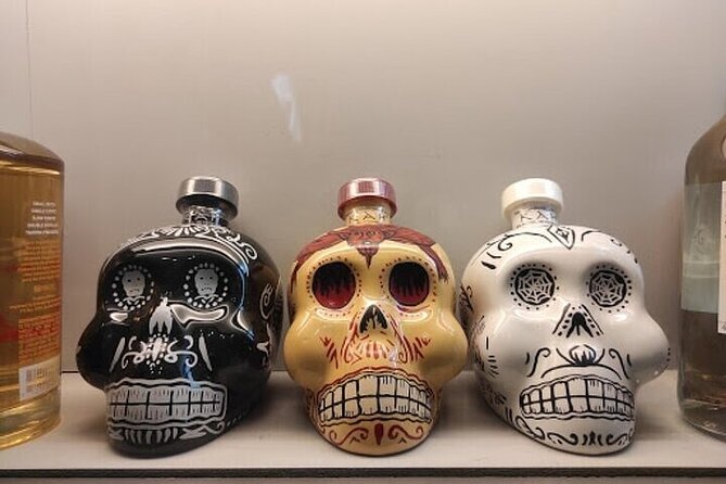Guided Tour to the Tequila and Mezcal Museum - Weather and Minimums: When Plans Change