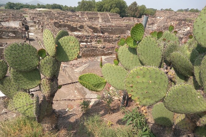 Guided Walking Tour to the Archaeological Zone of Teotihuacán - Guide Style, Local Touches, and How to Get Better Photos