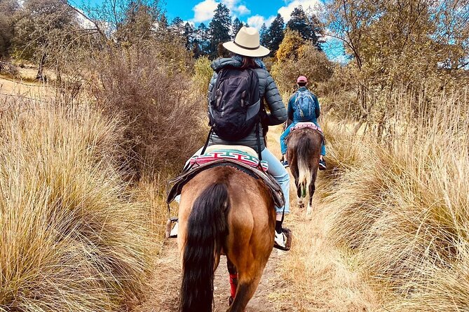 Horseback, Culture & Mexican Flavors Experience - Mexico City to Tepetlaoxtoc, without the hassle