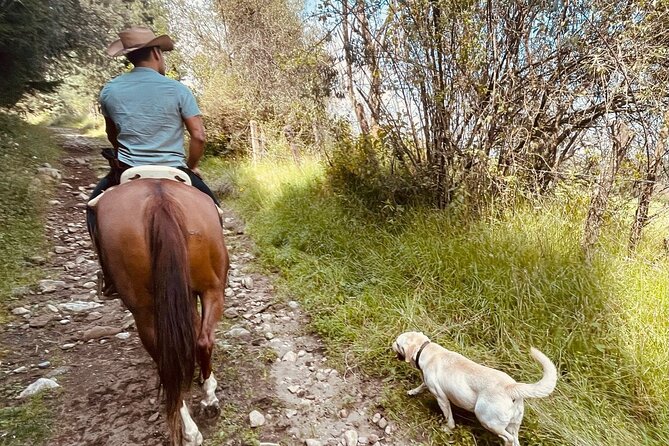 Horseback, Culture & Mexican Flavors Experience - Post-ride lunch: Mexican barbecue, wine, and plenty of conversation