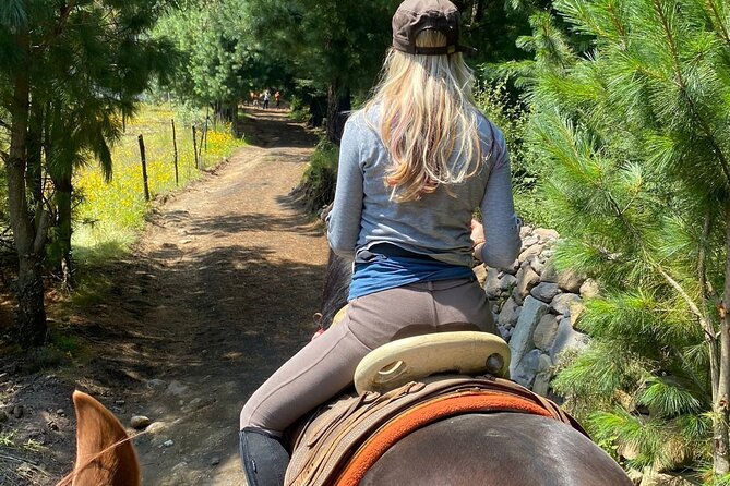 Horseback, Culture & Mexican Flavors Experience - Arrival at the ranch: snacks, horse prep, and safety brief