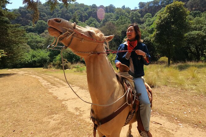 Horseback Riding in the Forest and Breakfast in Cabin - Key highlights you should know