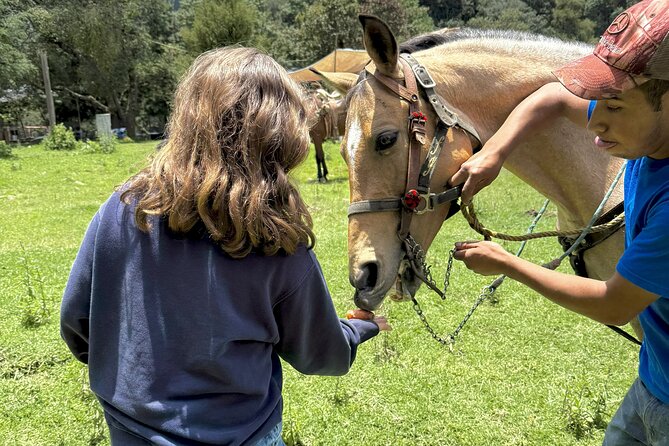 Horseback Riding in the Forest and Breakfast in Cabin - No Service in the Forest: Why That Is a Feature, Not a Bug
