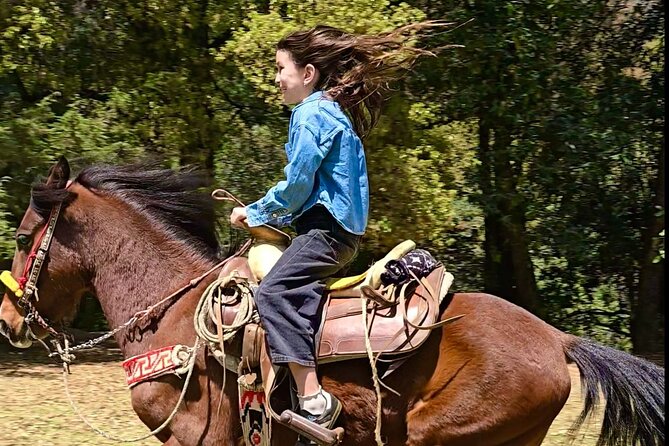 Horseback Riding in the Forest and Breakfast in Cabin - Time on the Trail, Time at the Cabin, and What the 5 Hours Feels Like