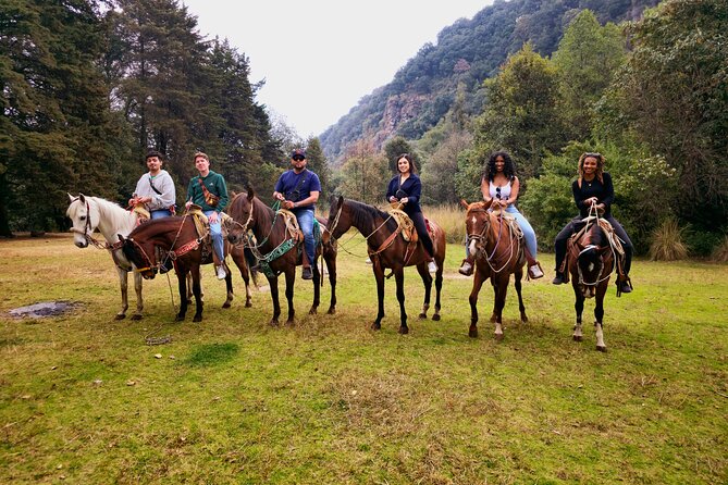 Horseback Riding in the Forest and Breakfast in Cabin - Price and Value at $161.20: What You’re Actually Paying For
