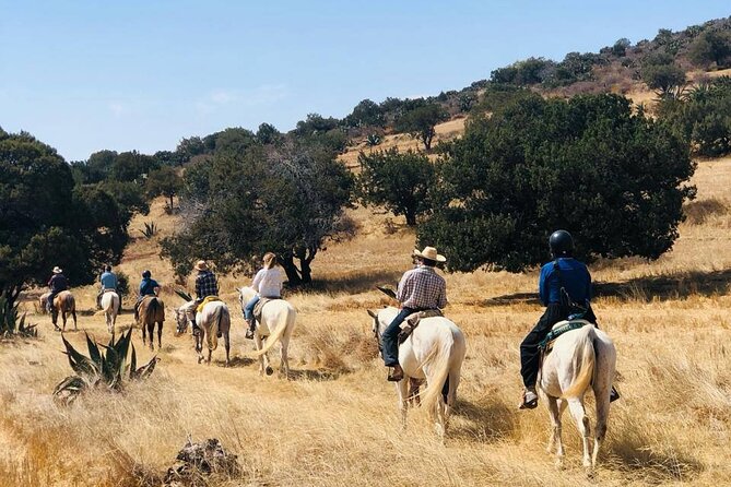 Horseback Riding through Mexican Haciendas - Key highlights you should care about