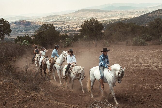 Horseback Riding through Mexican Haciendas - Host style and small-group energy: why it feels personal