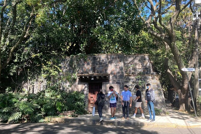 In the Footsteps of Frida Kahlo and Diego: Coyoacan and San Angel - Jardín Centenario, Street Life, and the Coyote Statue Moment