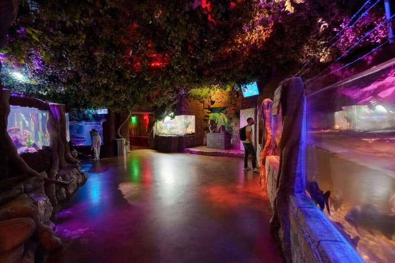 Inbursa Aquarium Entry Ticket with VR Option - Key Highlights You Can Actually Use
