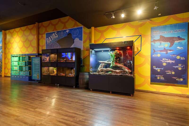 Inbursa Aquarium Entry Ticket with VR Option - Priority Entrance at Acuario Inbursa: Faster Entry, Better Flow