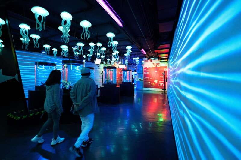 Inbursa Aquarium Entry Ticket with VR Option - Temporary Exhibitions: Included Variety Without Extra Ticketing