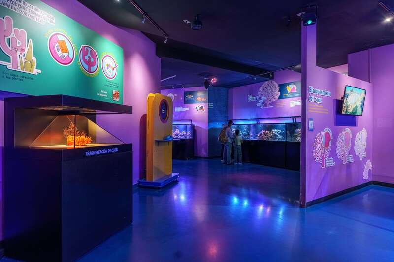 Inbursa Aquarium Entry Ticket with VR Option - VR Experience Option: Underwater Fun While You Stay Safe and Dry