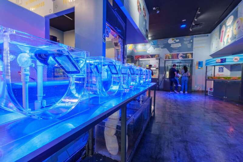 Inbursa Aquarium Entry Ticket with VR Option - Price and Value: Is $20 Worth It?