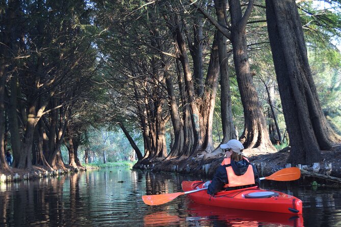 Kayak at sunrise in Xochimilco: agroecological experience - Meeting at Pier Fernando Celada, then gearing up for cold mist