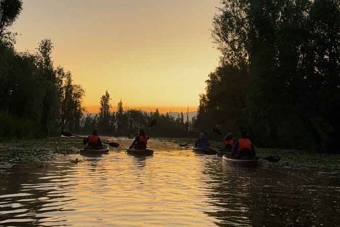 Kayak at sunrise in Xochimilco: agroecological experience - Breakfast in the same system: food that makes sense after the paddle