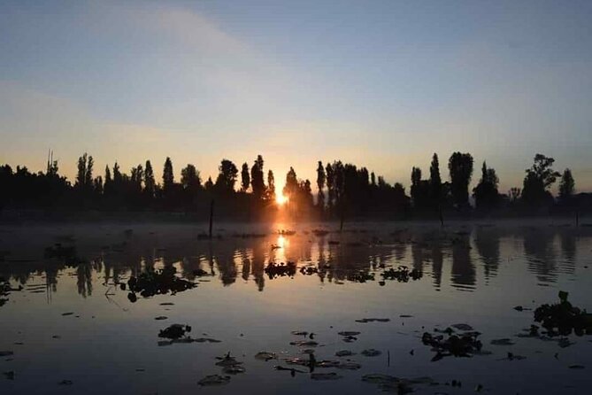 Kayak at sunrise in Xochimilco: agroecological experience - The Trajineras Xochimilco route: canals, birds, and how the system works
