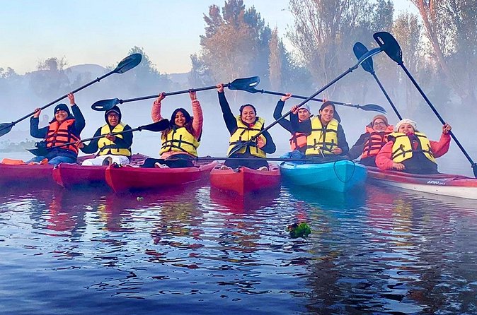 Kayak tour in Xochimilco - Price and Value: What You Pay (and Why It Feels Reasonable)