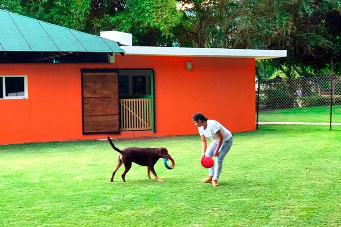 Las Estacas Natural Park Private Tour from Mexico City - Food, lockers, and the small costs that matter