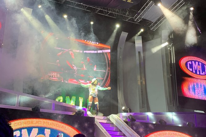 Mexican Wrestling: Experience Lucha Libre in Mexico City - Who This Lucha Libre Tour Is Best For