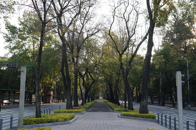 Mexico City: 19 City Highlights Bicycle Tour - Safety and bike setup: what I’d watch for