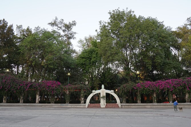 Mexico City: 19 City Highlights Bicycle Tour - What to do with all this afterward