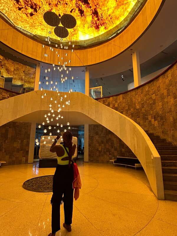Mexico City: 1960s &1970s Mexican Architecture Walking Tour - Key things you will notice on this walk