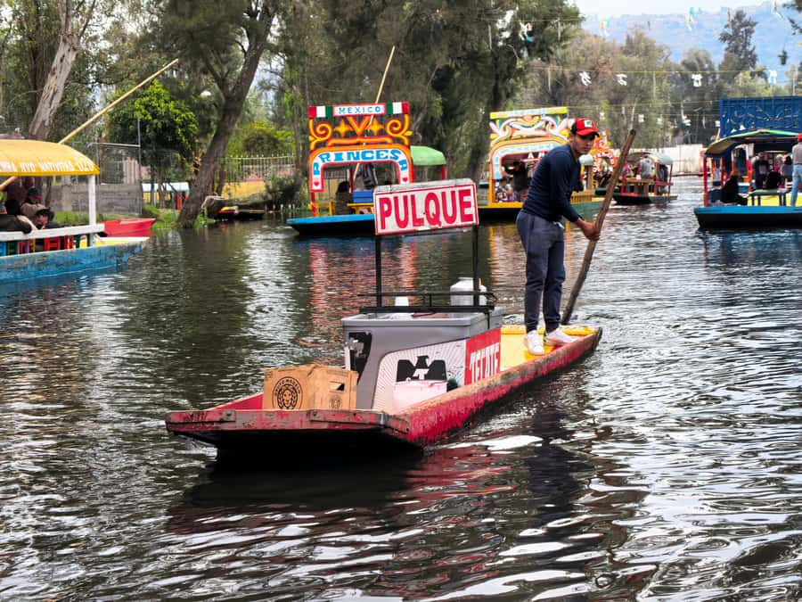 Mexico City: All-Inclusive College Student-Guided Boat Tour - Chinampa Island Break: Tacos, Flavored Pulque, and Bathroom Time