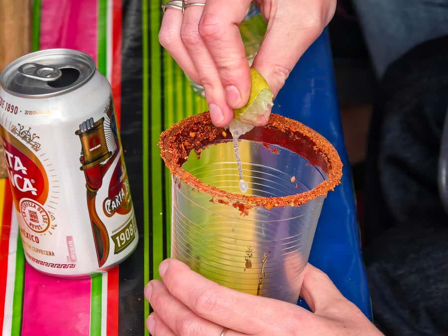 Mexico City: All-Inclusive College Student-Guided Boat Tour - Meeting at Canal 237: What to Look For and When