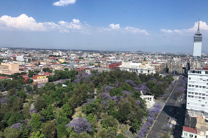 Mexico City Center Private Walking Tour - The city-center shop stop: a practical break built into the day