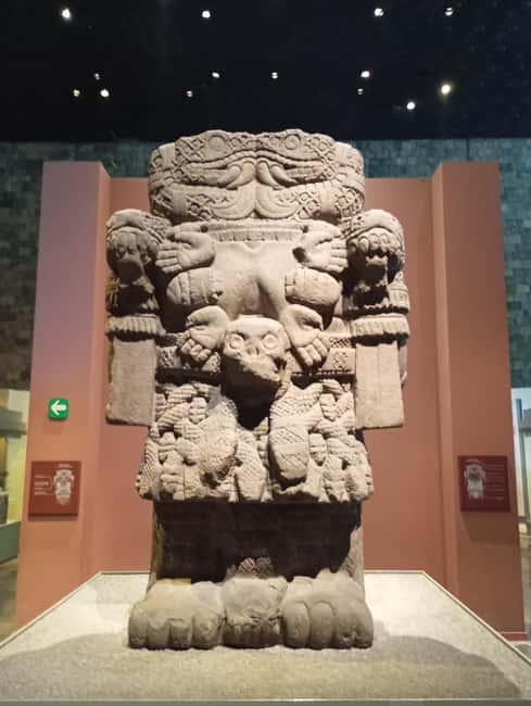Mexico City: Chapultepec Park and Museums Walking Tour - Key things that make this tour worth your time