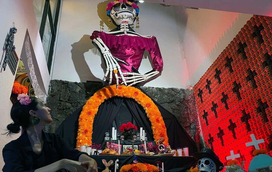 Mexico City: Day of the Dead House and craft workshop - Guided tour highlights, the offering you can see year round