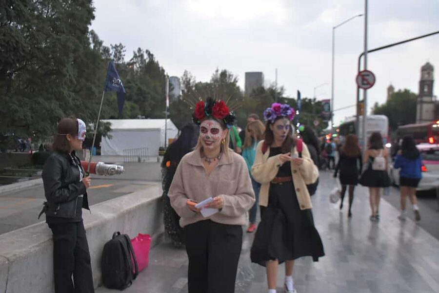 Mexico City: Day of the Dead Tour - Key points before you go