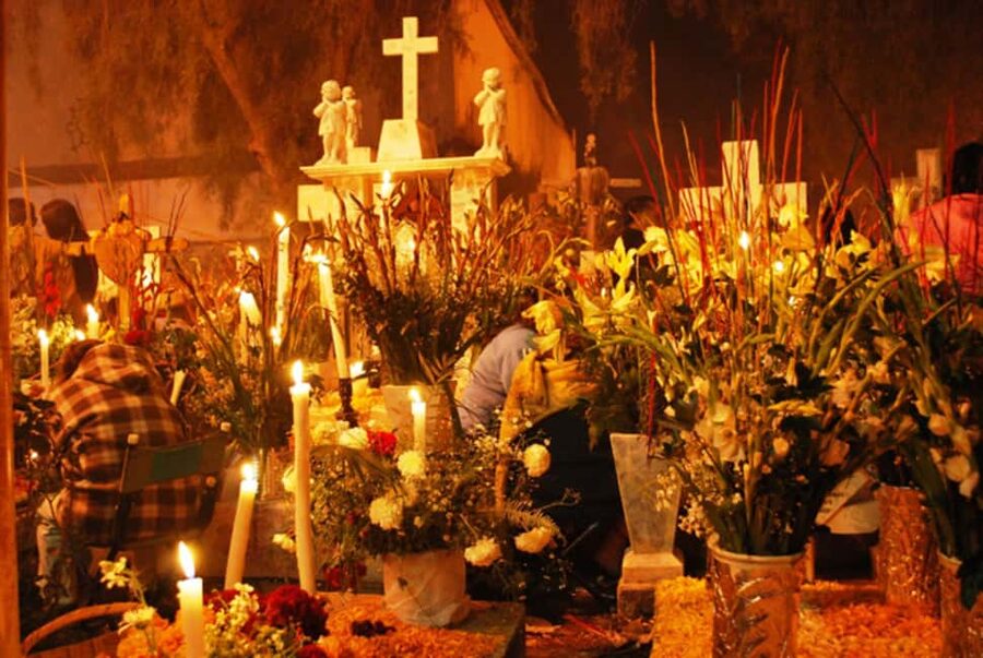 Mexico City: Day of the Dead Tour - Meeting at 6:00 pm, pickup points, and how not to lose time