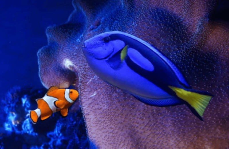 Mexico City: Fast Pass Ticket to Acuarium Inbursa - Fast Pass at Acuario Inbursa, what it changes for your day