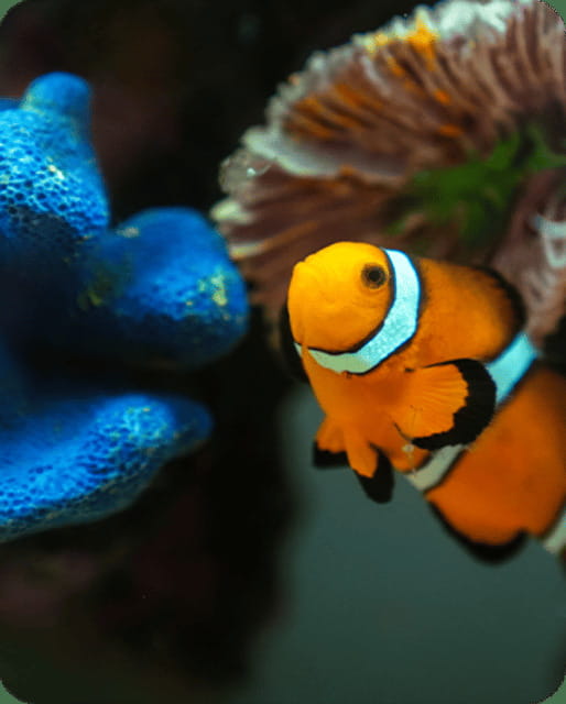 Mexico City: Fast Pass Ticket to Acuarium Inbursa - Finding the aquarium in Mexico City’s wider area