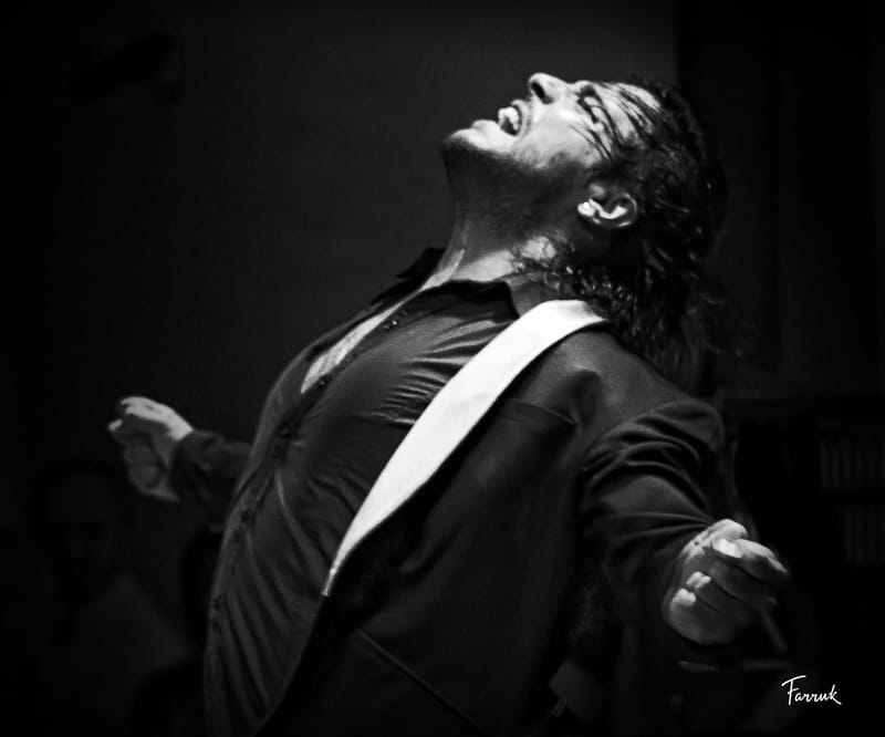 Mexico City: Flamenco Tablao Live Show & dinner - Inside the 3-Hour Flamenco: Dancers, Singers, and Live Music