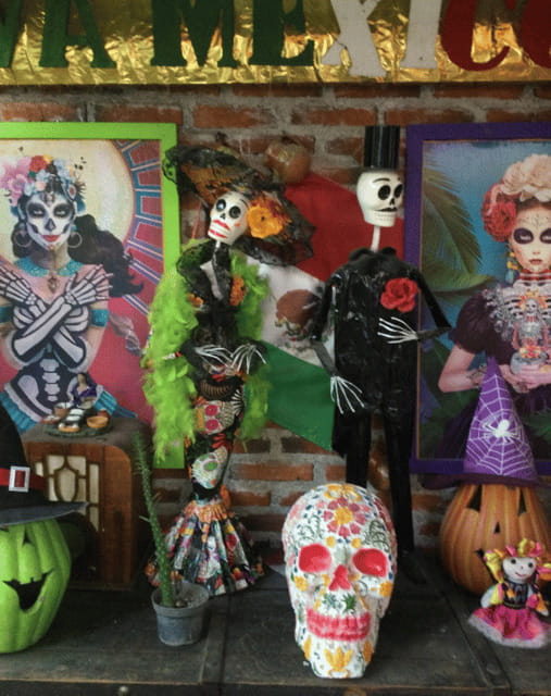 Mexico City: Frida Kahlo, Coyoacán, and Xochimilco Day Tour - A South Mexico City Day With Big Name Stops and Real Neighborhood Feel
