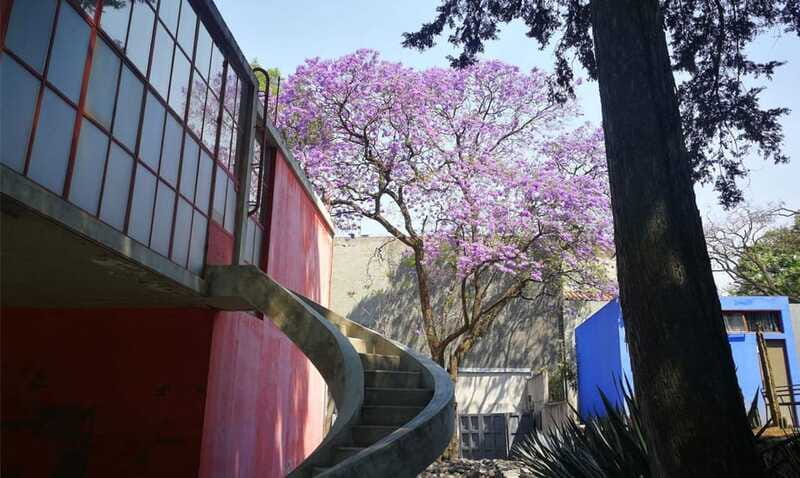 Mexico City: Frida Kahlo-Diego Rivera Studio House Tour - Price value check: what $40 gets you in real terms