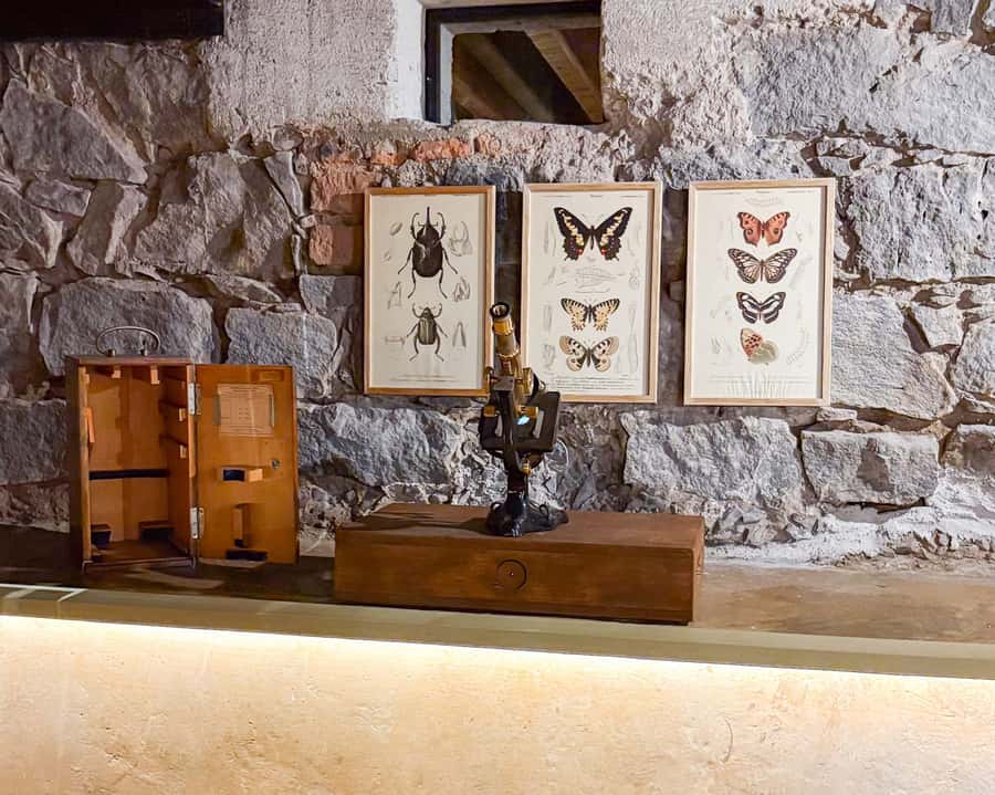 Mexico City: Frida Kahlo Museum Entry Ticket w/Digital Guide - Price of $34: When It’s a Smart Buy (and When It Might Not Be)