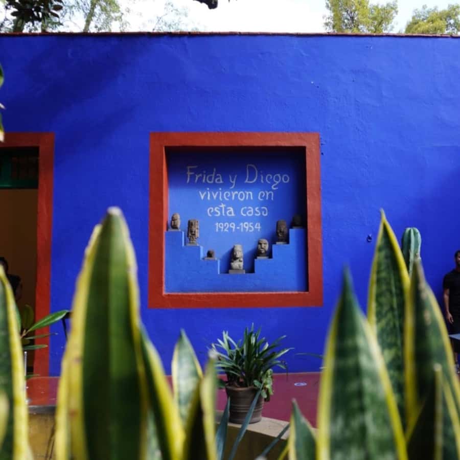 Mexico City: Frida Kahlo Museum Tour - Key highlights to look for